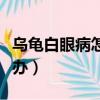 烏龜白眼病怎么治簡單最快（烏龜白眼病怎么辦）
