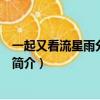一起又看流星雨分集劇情（關于一起又看流星雨分集劇情的簡介）