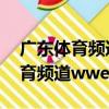 廣東體育頻道wwe中文解說主持人（廣東體育頻道wwe）