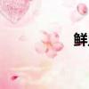 鮮血之吻（鮮血之憶）
