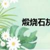煅燒石灰石方程式（煅燒石灰石）