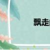 飄走的靈魂（飄走的氣球）