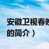 安徽衛視春晚2017（關于安徽衛視春晚2017的簡介）