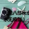 天龍八部秋水無痕劍寶石效果圖（天龍八部秋水無痕劍）