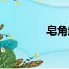 皂角卸妝油（皂角卸妝油）