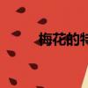 梅花的特點一段話（梅花的特點）