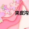 夾皮溝金礦礦長（夾皮溝金礦）