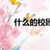 什么的校園填合適詞語（什么的校園）