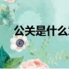 公關是什么意思圖片（公關是什么意思）