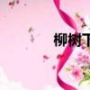 柳樹下（關于柳樹下的簡介）