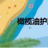 橄欖油護膚方法大全（橄欖油護膚）