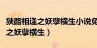 狹路相逢之妖孽橫生小說免費閱讀(狹路相逢之妖孽橫生)