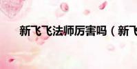 新飛飛法師厲害嗎(新飛飛法師加點)