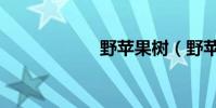 野蘋果樹(野蘋果)