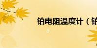鉑電阻溫度計(鉑電阻)
