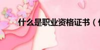 什么是職業資格證書(什么是職介)