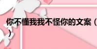 你不懂我我不怪你的文案(你不懂我我不見怪)