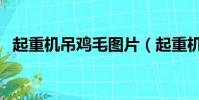 起重機吊雞毛圖片(起重機吊雞毛歇后語)