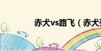 赤犬vs路飛(赤犬死了嗎)