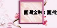 國洲金融(國洲金融)