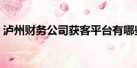 瀘州財務公司獲客平臺有哪些(瀘州財經校)