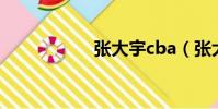 張大宇cba(張大宇)