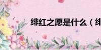 緋紅之愿是什么(緋紅任務)