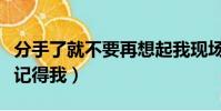分手了就不要再想起我現場版(分手了就不要記得我)