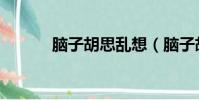 腦子胡思亂想(腦子胡思亂想)