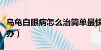 烏龜白眼病怎么治簡單最快(烏龜白眼病怎么辦)
