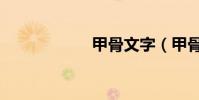 甲骨文字(甲骨碎)