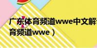 廣東體育頻道wwe中文解說主持人(廣東體育頻道wwe)