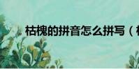 枯槐的拼音怎么拼寫(枯槐的拼音)