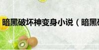 暗黑破壞神變身小說(暗黑破壞神變態裝備)