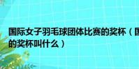 國際女子羽毛球團體比賽的獎杯(國際女子羽毛球團體比賽的獎杯叫什么)