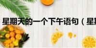 星期天的一個下午語句(星期天的一個下午)