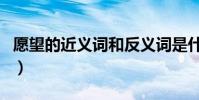 愿望的近義詞和反義詞是什么(愿望的近義詞)