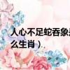 人心不足蛇吞象是什么生肖超準的?（人心不足蛇吞象是什么生肖）