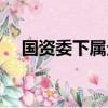 國資委下屬企業排名（國資委下屬企業）