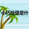 小巧玲瓏是什么生肖（小巧玲瓏是什么生肖）
