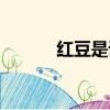 紅豆是誰唱的原唱（紅豆是誰）