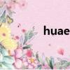huaer（關于huaer的簡介）