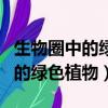 生物圈中的綠色植物思維導圖簡單（生物圈中的綠色植物）