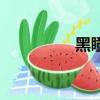 黑瞳（關于黑瞳的簡介）
