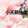 小天鵝抽油煙機清洗（小天鵝抽油煙機）