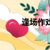 逢場作戲（關于逢場作戲的簡介）