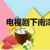 電視劇下南洋（關于電視劇下南洋的簡介）
