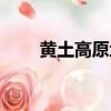 黃土高原地形圖（黃土高原地形圖）