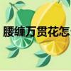 腰纏萬貫花怎么養才能開花結果（腰纏火龍）