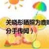 關曉彤曬照為鹿晗慶生鹿晗回復（關曉彤曬照為鹿晗慶生破分手傳聞）